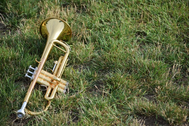 Trompetespielen trotz Schwerhörigkeit. Bild einer glänzenden Trompete, die auf einem Rasen liegt.